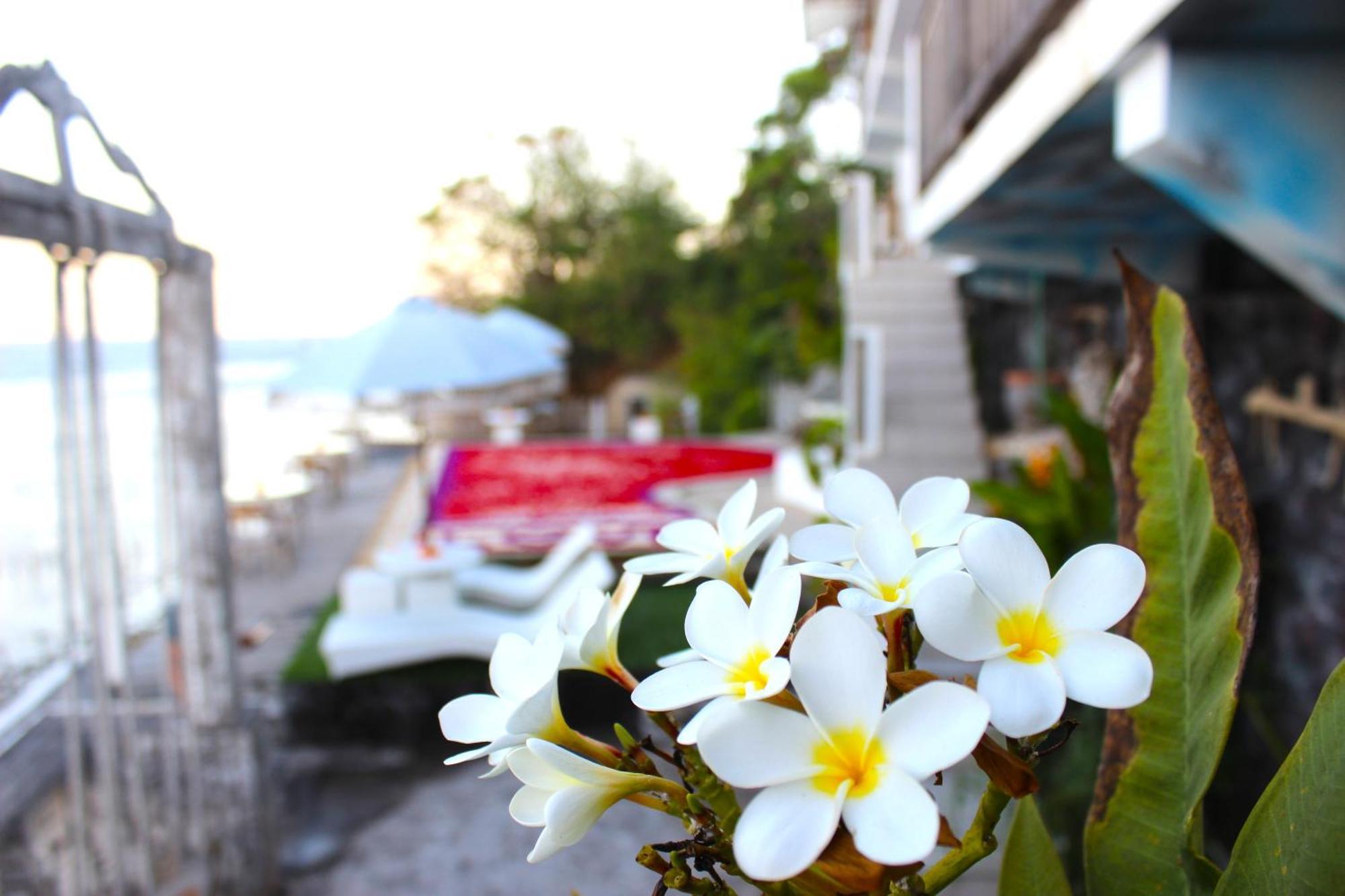 Suite Ocean Blue Batununggul Екстериор снимка
